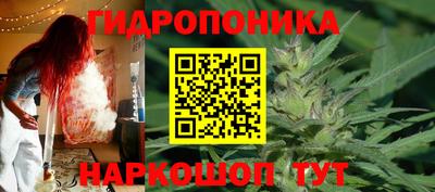 стаф Будённовск