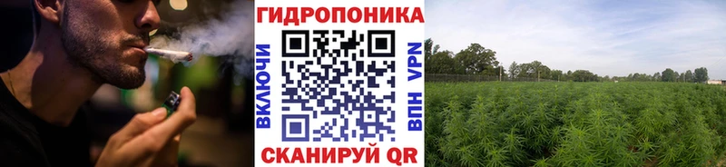 МАРИХУАНА планчик  Гатчина 