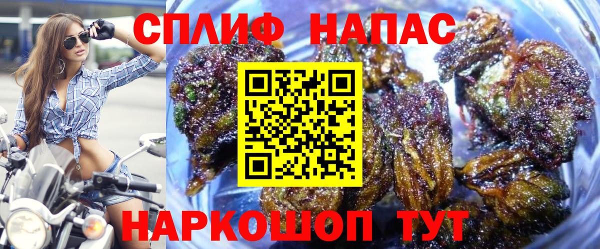 Конопля конопля  МАРИХУАНА тримм  Бошки Шишки семена  Гатчина  Вход с VPN 
